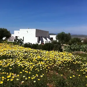 Cortijo El Campillo Casa rural Los Albaricoques